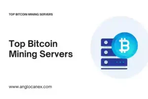 Top Bitcoin Mining Servers Presentation